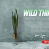 WILD THINGS